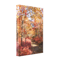Autumn in New England 27 ~ Canvas Print