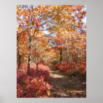 Autumn in New England 27 ~ print