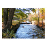 Autumn in New England 47 ~ ATC Business Cards
