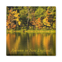 Autumn in New England   Magnet