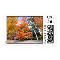 AUTUMN IN NEW ENGLAND POSTAGE STAMPS