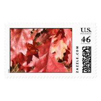 Autumn in New England postage by tracycarb Autumn in New England postage