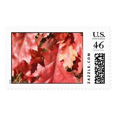 Autumn in New England Postage Stamps by tracycarb