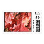 Autumn in New England postage