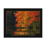 Autumn In New England Thank You postcards
