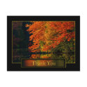 Autumn In New England Thank You postcards