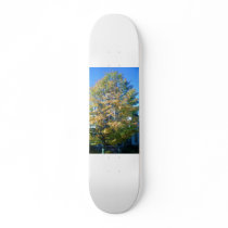 Autumn in New York Skate Board