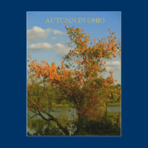 AUTUMN IN OHIO POST CARD postcards