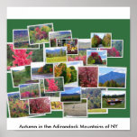 Autumn in the Adirondack Mountains... Poster