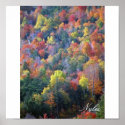 Autumn in the Adirondacks posters