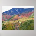 Autumn in the Adirondacks Print
