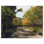 Autumn in the Colorado Mountains, Colorado, U.S.A. Flyer