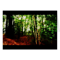 Autumn in the Forest cards