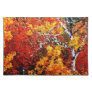 Autumn in the Forest - Painting Art Placemats