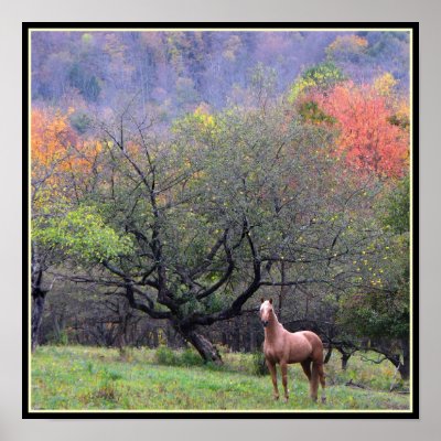 Autumn in the Horse's Orchard Poster by Bebops
