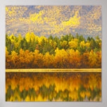 autumn in the mountains in Norway Poster