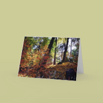 Autumn in the park cards by tina626 Autumn in the park cards