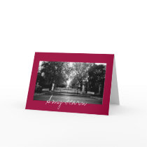Autumn in the Park cards