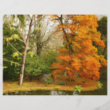 Autumn in the park flyer