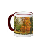 Autumn in the park coffee mug