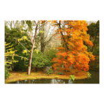 Autumn in the park photo print