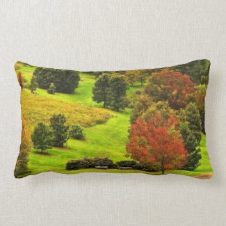 Autumn in the Park Pillows