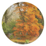 Autumn in the park plate