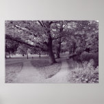 Autumn in the Park - Purple Toned BW Posters