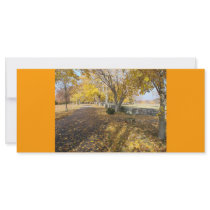 Autumn in the park rack cards by BruceMG Autumn in the park rack cards