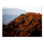 Autumn in the Smokies Post Card
