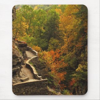 Autumn in Treman State Park Mouse Pads