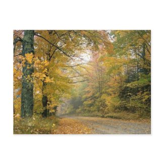 Autumn in Vermont postcard