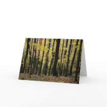 Autumn in Wisconsin cards