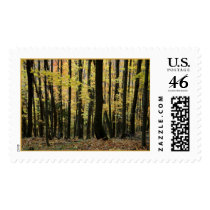 Autumn in Wisconsin postage by JaguarPhotos Autumn in Wisconsin postage