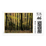 Autumn in Wisconsin postage