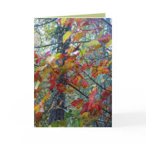Autumn Incarnate Greeting Card