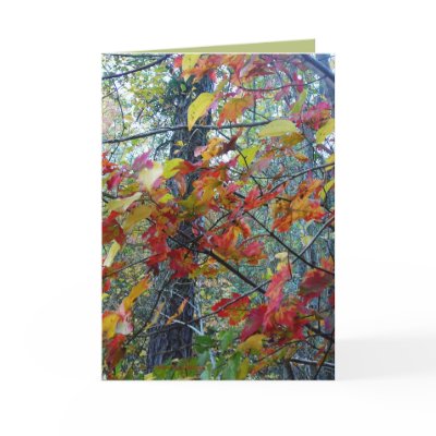 Autumn Incarnate Greeting Card by MoiraAshleigh
