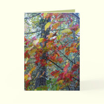 Autumn Incarnate cards by MoiraAshleigh Autumn Incarnate cards