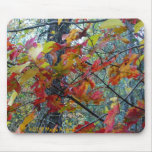 Autumn Incarnate Mouse Pads