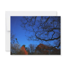 Autumn invitations by catsirish Autumn invitations