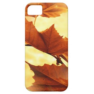 Autumn iPhone 5 Cases