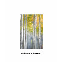 Autumn is Aspen tee shirt by linny56 Autumn is Aspen tee shirt