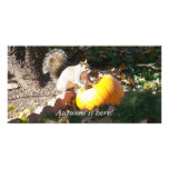 Autumn is here! photo greeting card