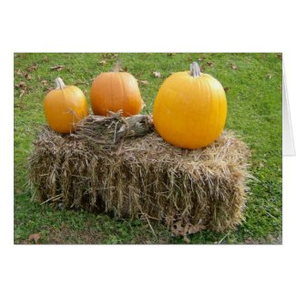 Autumn Is Most Beautiful Season Cards card