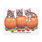 Autumn is the Cat's Meow Postcard postcard