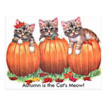 Autumn is the Cat's Meow Postcard