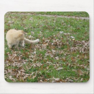 Autumn Is The Most Beautiful Time Of Year mousepad