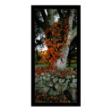 Autumn Ivy posters by gavinshapiro Autumn Ivy posters