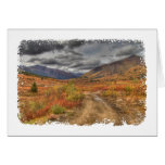 Autumn Journey Greeting Cards