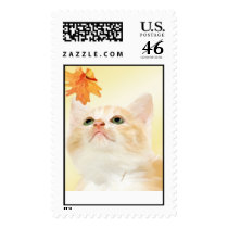Autumn Kitten Stamp by Rockangel1 Autumn Kitten Stamp